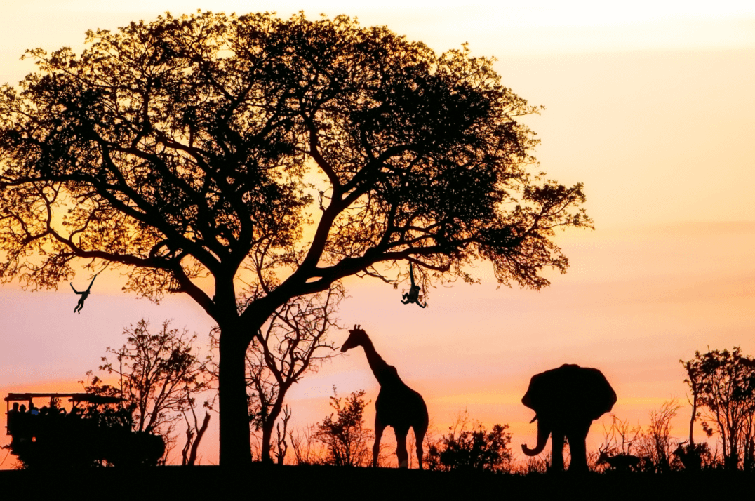 Africa