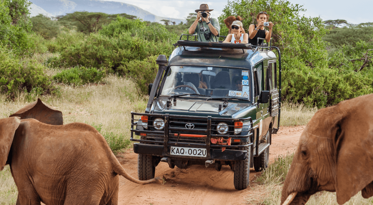 Get Up Close and Personal With Wildlife