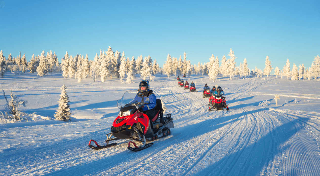 Race through snowy vistas on your guided snowballing expedition