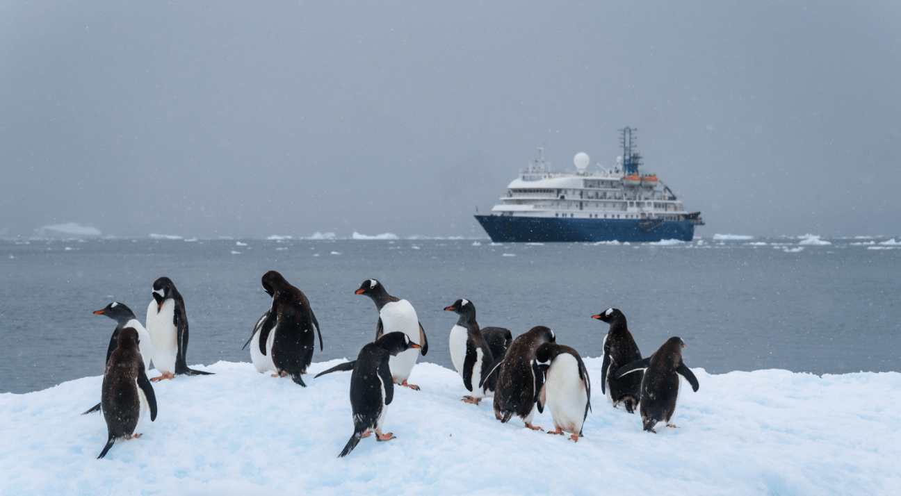 The Arctic is a sanctuary for an incredible array of wildlife